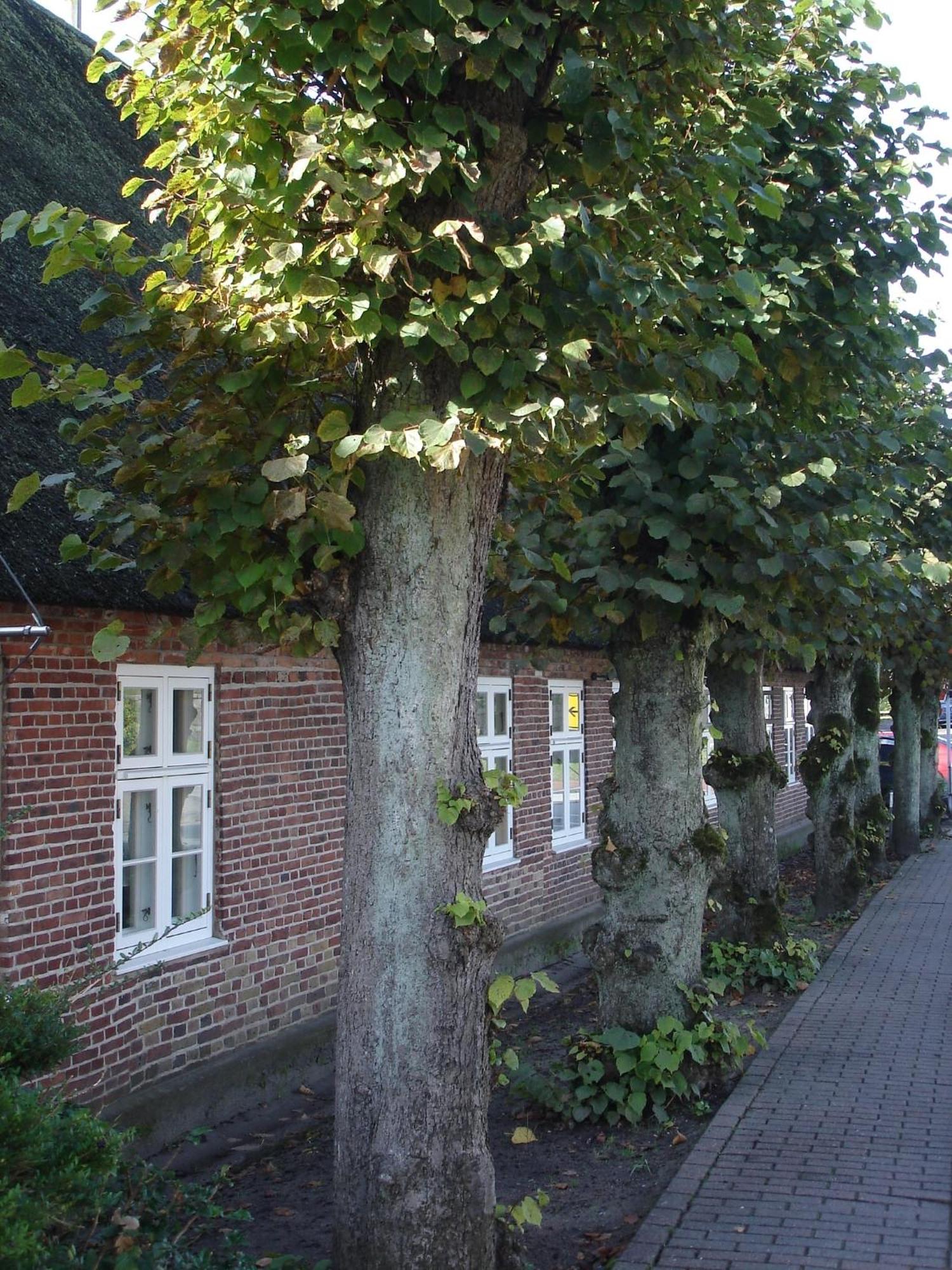 Tetens Gasthof Süderlügum Bagian luar foto